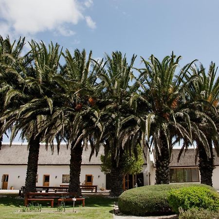 Отель Springfontein Wine Estate Станфорд Экстерьер фото