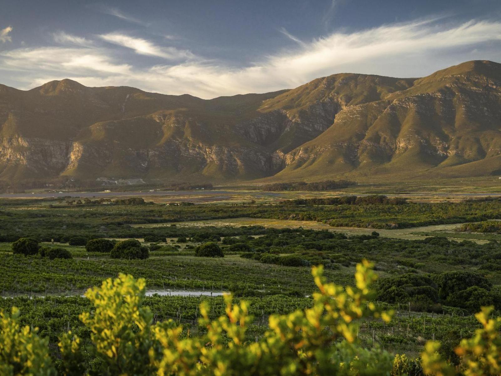 Отель Springfontein Wine Estate Станфорд Экстерьер фото